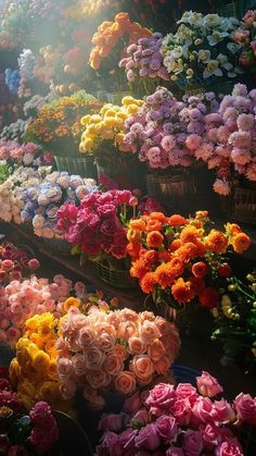 many different colored flowers are on display at the flower market, with sunlight shining through them