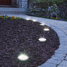 some lights that are on in the ground near a house and bushes with flowers around them