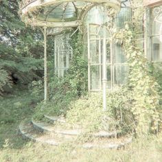 an old photo of a gazebo with vines growing around it