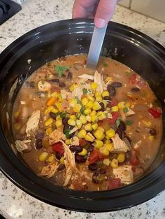 a person holding a spoon in a crock pot filled with chicken tortilla soup