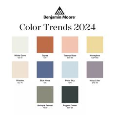 the color trend for 2013 is from benjamin moore