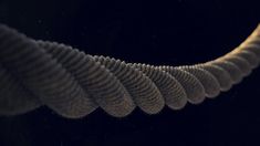 a close up view of a feather like object on a black surface with dark background