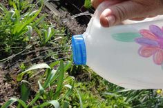 a hand holding a plastic bottle with a flower painted on it in the grass next to some plants