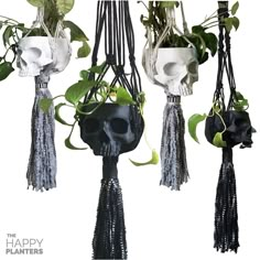 three hanging planters with skulls and plants in them