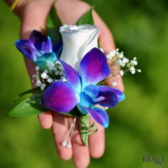 purple and blue flowers are held in someone's hand