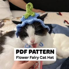 a black and white cat wearing a crocheted hat with the words pdf pattern on it