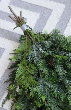 a bunch of evergreen branches on the floor