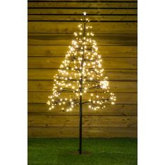 a lighted christmas tree in front of a wooden wall with grass and lights on it