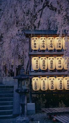 lanterns lit up in front of a building with cherry blossoms on the trees behind it