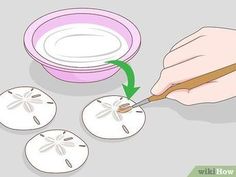 how to make sand dollar signs with pictures wikihow - step 8bubbles com