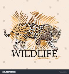 a leopard on the background of palm leaves and lettering wild life with an image of a leopard