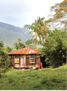 an old shack in the jungle with mountains in the background