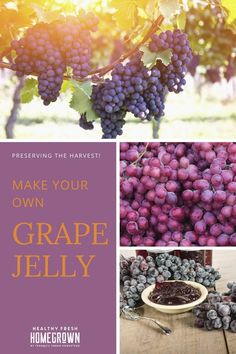 grapes with the words make your own grape jelly