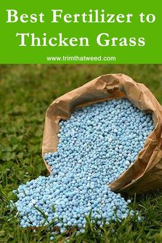 Best Fertilizer to Thicken Grass. Welcome to our video of the Best Fertilizer to Thicken Grass. Best Grass Seed, Organic Lawn Care, Garden Remedies