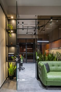 a green couch sitting inside of a living room next to a glass wall filled with potted plants