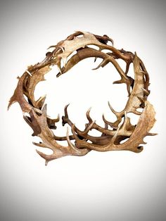 an antler's head is shown in the shape of a circle