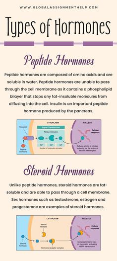 types of hormones How To Study Biochemistry, Biochemistry Notes Vitamins, Types Of Hormones, Biochemistry Notes Carbohydrates, Proteins Biochemistry, Biology Assignment, Body Human, Medical Terminology Study