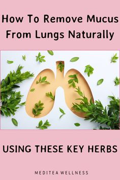 Discover how to remove mucus from lungs naturally with our comprehensive guide on lung detox. Learn about the top 10 herbs that aid in lung cleansing, and explore the best practices for respiratory health. From herbal teas to lifestyle changes, boost your well-being with our natural methods for lung detoxification. Cleanse Lungs Naturally, Natural Lung Expectorant, How To Heal Your Lungs Naturally, How To Cleanse Your Lungs, Cleaning Lungs Naturally, Lung Cleanse Tea, Respiratory Steam Diy, Foods For Respiratory Health, How To Clean Out Your Lungs