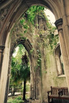 an arch in the middle of a building with trees growing out of it and a bench underneath