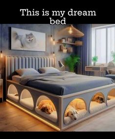 this is my dream bed with two dogs sleeping in it