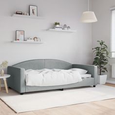 a living room with a couch, table and potted plant on the floor in front of it