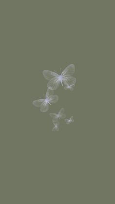 three white butterflies flying in the sky