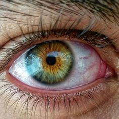 an extreme close up shot of the eye of a man with blue and yellow eyes