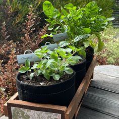 three potted plants sitting on top of a wooden box next to some shrubbery