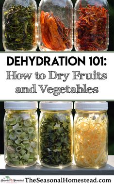 four jars filled with different types of vegetables and herbs in them, text reads dehydration 101 how to dry fruits and vegetables