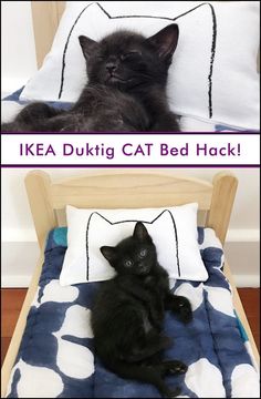 two pictures of a black cat laying on top of a bed next to each other with the caption ikea duking cat bed hack