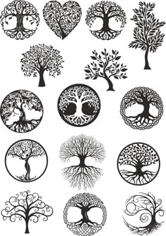 various trees with different shapes and sizes in the shape of heart shaped circles, on white background