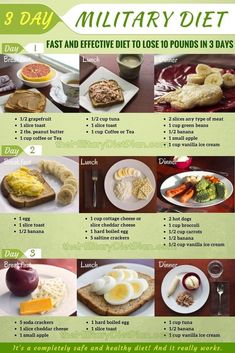 3 Day Military, Effective Diet, Fat Loss Diet Plan, Resep Diet, Keto Ideas, Diet Chart, Slim Fast, Lose 10 Pounds, Makanan Diet