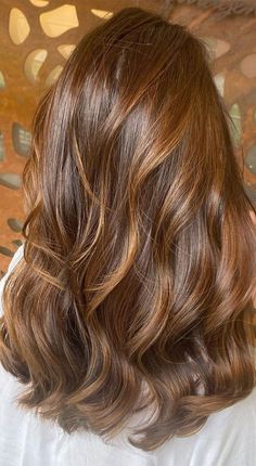 Light Bronze Hair, Medium Copper Brown Hair, Hair With Highlights, Brown Hair Looks, Hair Color Auburn, Brown Hair Balayage