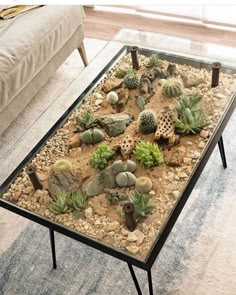 a glass table topped with lots of succulents on top of a rug