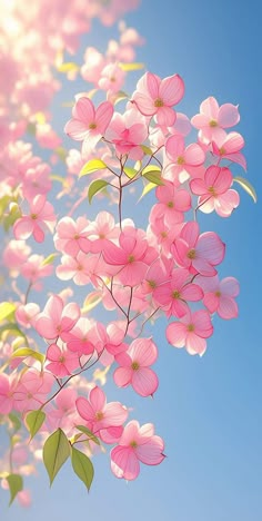 pink flowers with green leaves against a blue sky