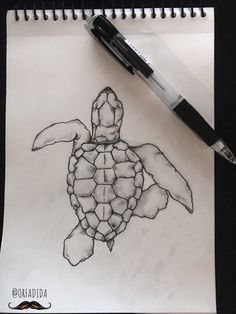 a drawing of a turtle on paper next to a pen