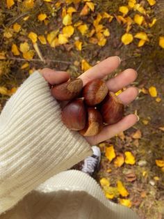 someone is holding some nuts in their hand