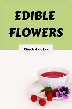 a cup of tea and some raspberries with the words edible flowers check it out