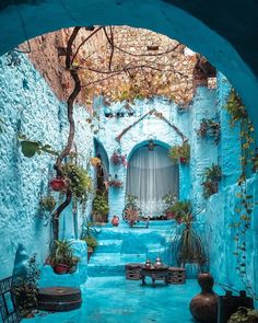 an archway leading to a blue building with potted plants on either side and a table in the middle