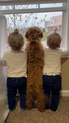 two children and a dog looking out the window