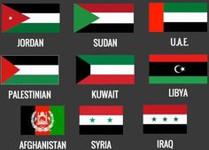 the flags of different countries are shown in this graphic style, including jordan, jordan, uzbekistan