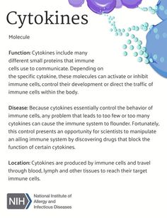 an info sheet describing cytokines and its benefits in the body, with information about how to use it