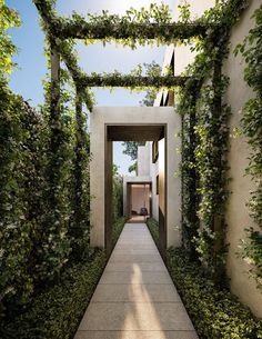 an outdoor walkway is surrounded by greenery