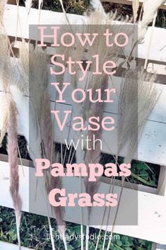 pampas grass growing in a planter box with the words how to style your vase with pampas grass