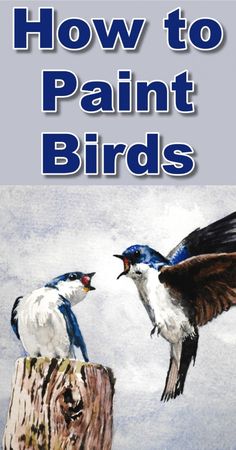 how to paint birds with colored pencils and watercolors on the cover of a book