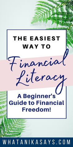 the easy way to financial literacy for beginner's guide to financial freedom with text overlay