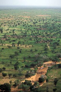 an aerial view of the vast green plains and trees in africa, with small streams running through them