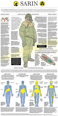 an info sheet showing the different types of people's body and how they use it