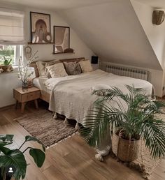 there is a bed in the room with two plants on the floor next to it