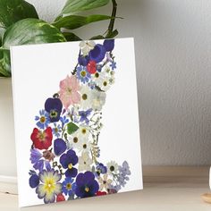 a greeting card with an image of a cat surrounded by colorful flowers on a white background